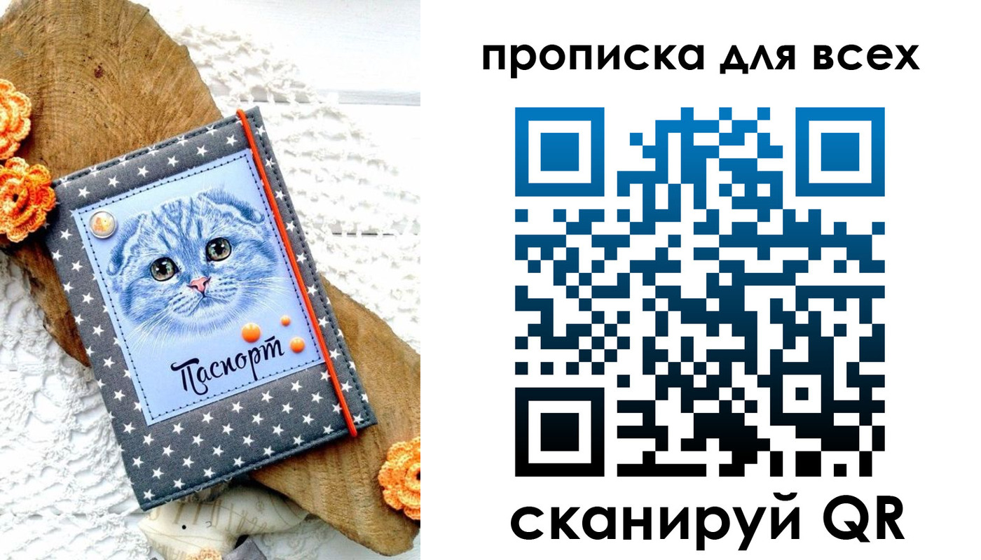 временная регистрация надежно в Мончегорске